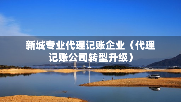 新城专业代理记账企业（代理记账公司转型升级）