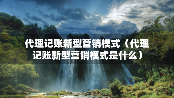 代理记账新型营销模式（代理记账新型营销模式是什么）
