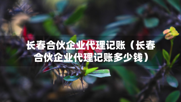 长春合伙企业代理记账（长春合伙企业代理记账多少钱）