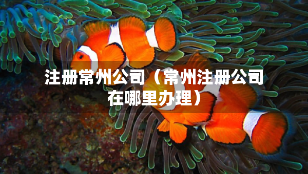 注册常州公司（常州注册公司在哪里办理）
