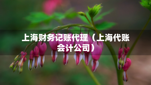 上海财务记账代理（上海代账会计公司）
