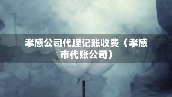 孝感公司代理记账收费（孝感市代账公司）