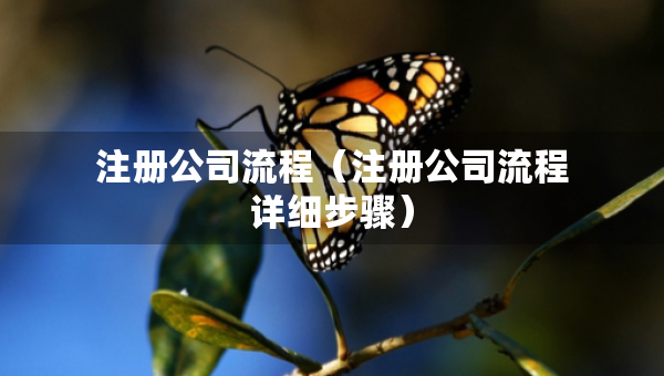 注册公司流程（注册公司流程详细步骤）