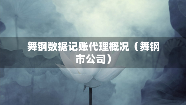 舞钢数据记账代理概况（舞钢市公司）