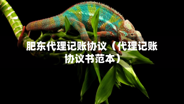 肥东代理记账协议（代理记账协议书范本）