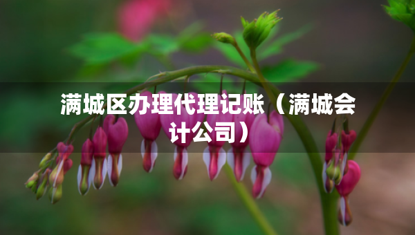 满城区办理代理记账(满城会计公司) 满城区办理代理记账(满城会计公司)