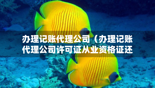 办理记账代理公司（办理记账代理公司许可证从业资格证还能用吗）