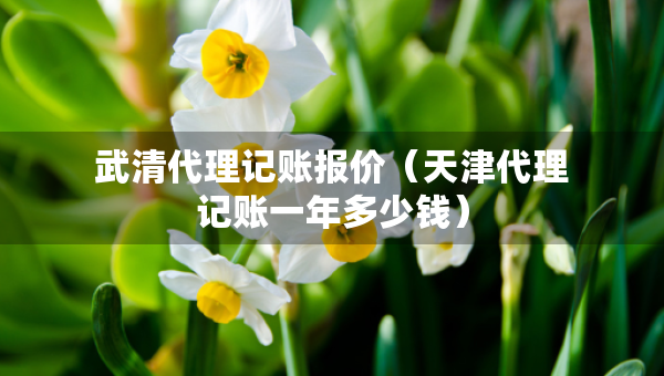 武清代理记账报价（天津代理记账一年多少钱）