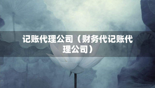 记账代理公司（财务代记账代理公司）
