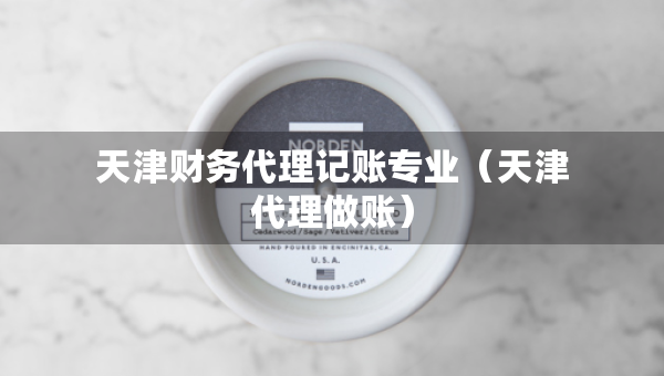天津财务代理记账专业（天津代理做账）