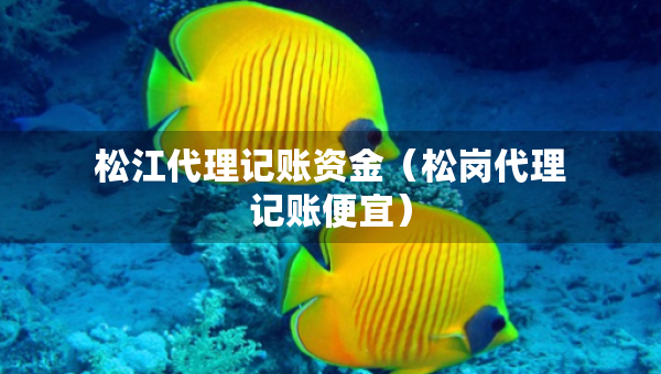 松江代理记账资金（松岗代理记账便宜）