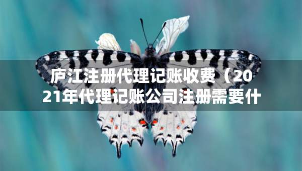 庐江注册代理记账收费（2021年代理记账公司注册需要什么条件）