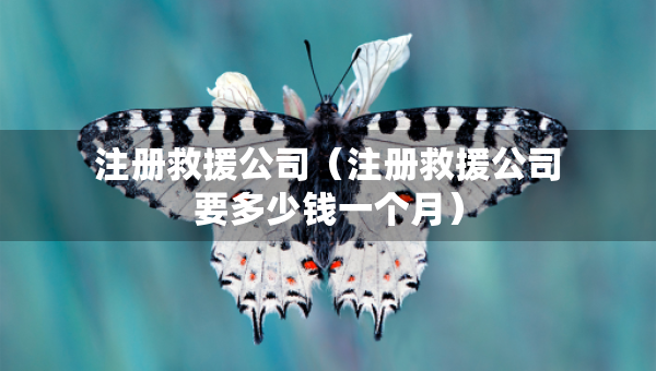 注册救援公司(注册救援公司要多少钱一个月) 注册救援公司(注册救援公司要多少钱一个月)