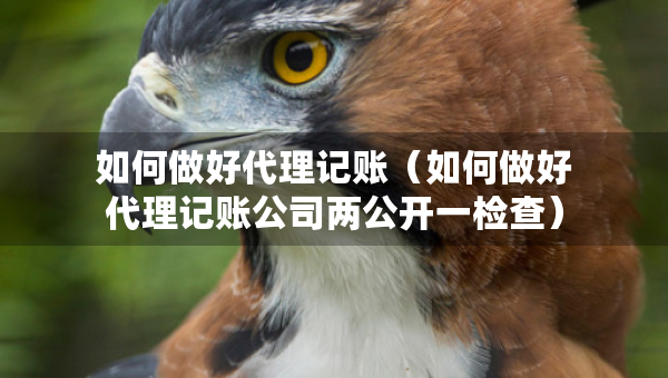 如何做好代理记账（如何做好代理记账公司两公开一检查）