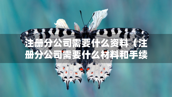 注册分公司需要什么资料（注册分公司需要什么材料和手续）