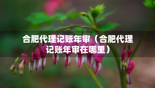合肥代理记账年审（合肥代理记账年审在哪里）