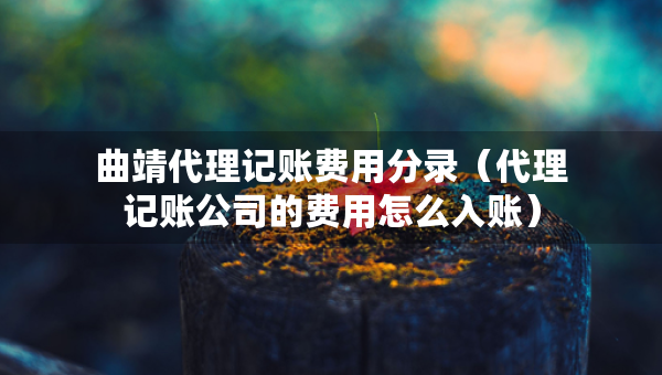 曲靖代理记账费用分录（代理记账公司的费用怎么入账）