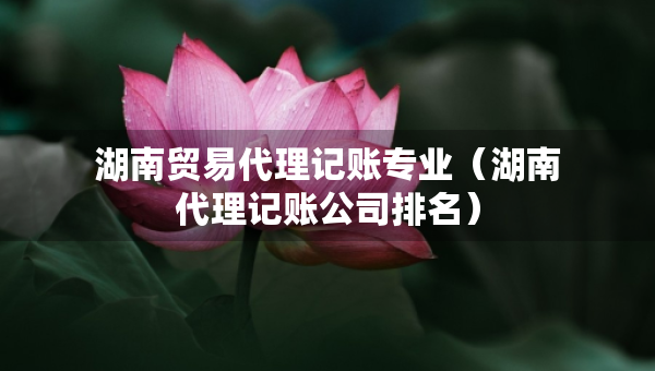 湖南贸易代理记账专业（湖南代理记账公司排名）