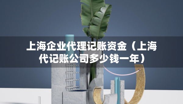 上海企业代理记账资金（上海代记账公司多少钱一年）