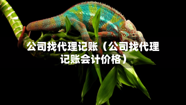 公司找代理记账（公司找代理记账会计价格）