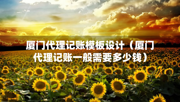 厦门代理记账模板设计（厦门代理记账一般需要多少钱）
