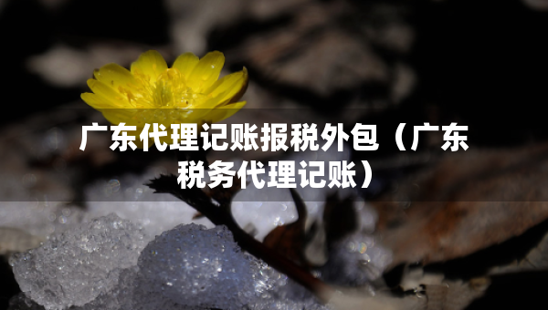 广东代理记账报税外包（广东税务代理记账）