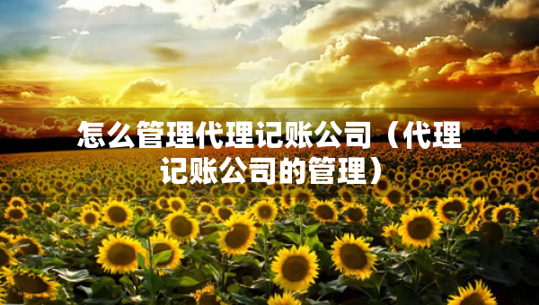怎么管理代理记账公司（代理记账公司的管理）