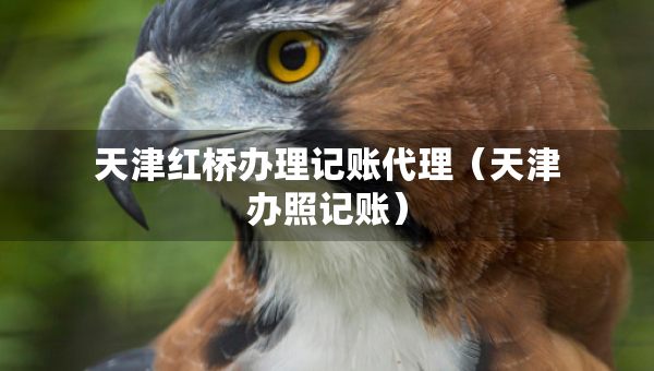 天津红桥办理记账代理（天津办照记账）