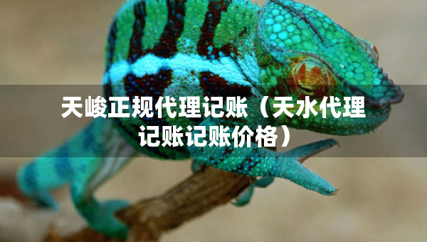 天峻正规代理记账（天水代理记账记账价格）