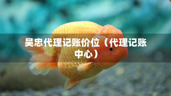吴忠代理记账价位（代理记账中心）