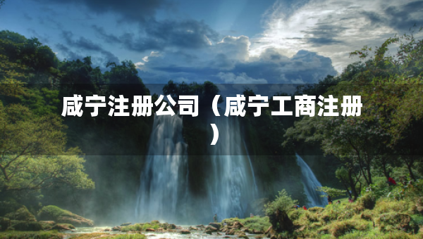 咸宁注册公司（咸宁工商注册）