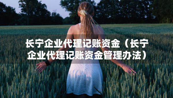 长宁企业代理记账资金（长宁企业代理记账资金管理办法）
