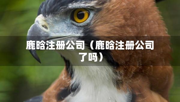 鹿晗注册公司（鹿晗注册公司了吗）