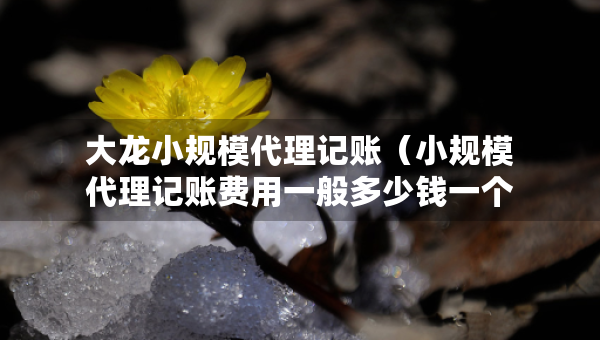 大龙小规模代理记账（小规模代理记账费用一般多少钱一个月）