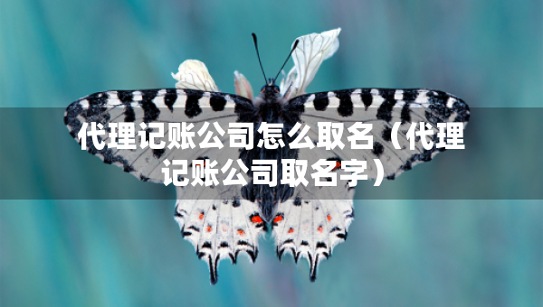 代理记账公司怎么取名(代理记账公司取名字) 代理记账公司怎么取名(代理记账公司取名字)
