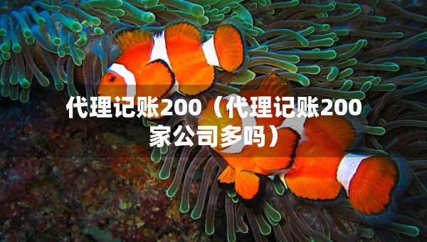代理记账200（代理记账200家公司多吗）