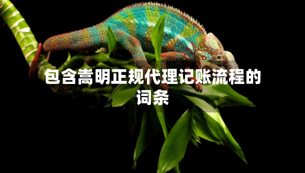 包含嵩明正规代理记账流程的词条