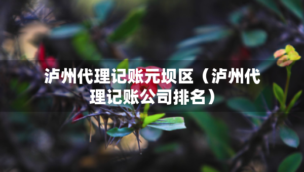 泸州代理记账元坝区（泸州代理记账公司排名）