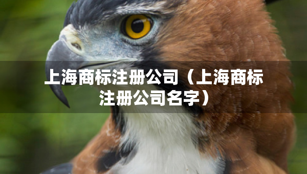 上海商标注册公司（上海商标注册公司名字）