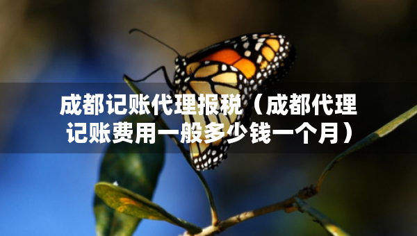 成都记账代理报税（成都代理记账费用一般多少钱一个月）