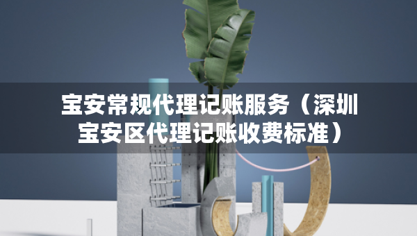 宝安常规代理记账服务（深圳宝安区代理记账收费标准）