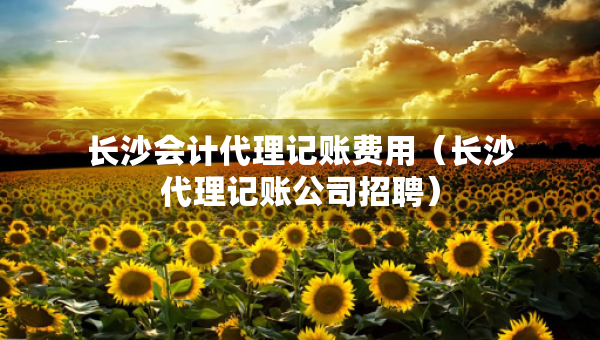 长沙会计代理记账费用（长沙代理记账公司招聘）