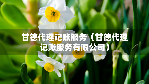 甘德代理记账服务（甘德代理记账服务有限公司）