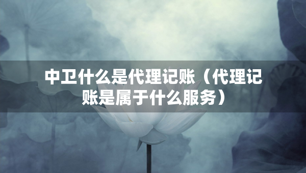 中卫什么是代理记账（代理记账是属于什么服务）