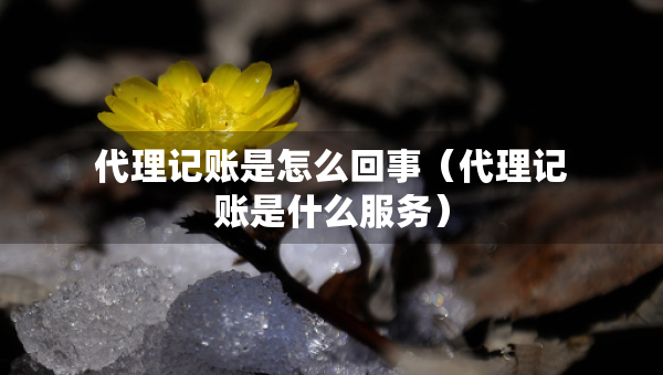 代理记账是怎么回事（代理记账是什么服务）