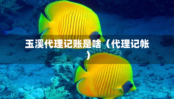 玉溪代理记账是啥（代理记帐）