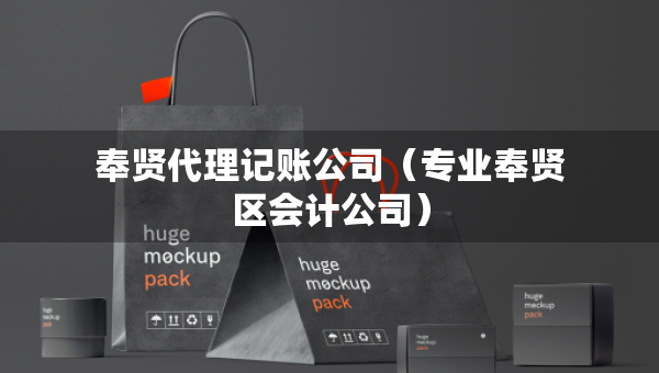 奉贤代理记账公司（专业奉贤区会计公司）