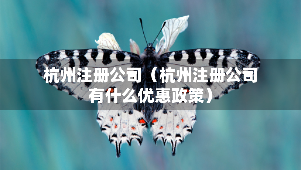杭州注册公司（杭州注册公司有什么优惠政策）