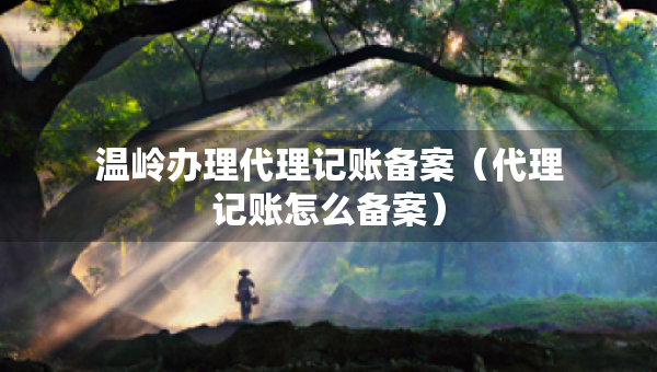 温岭办理代理记账备案（代理记账怎么备案）