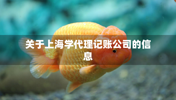 关于上海学代理记账公司的信息